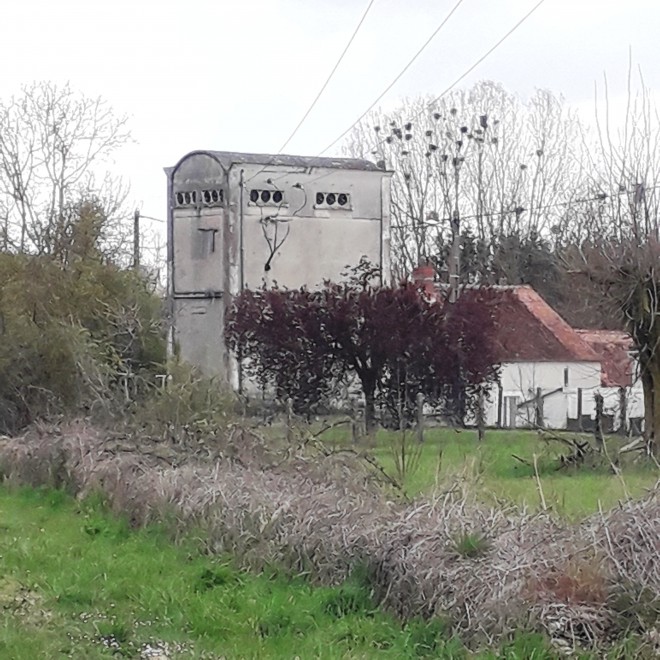 20210413_115653.jpg