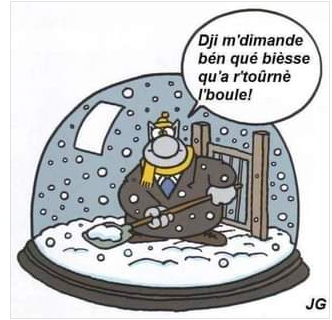 Chat Neige..PNG