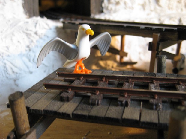 mouette.jpg