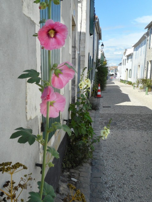 RÉ - 19 juin 2021 (9).JPG