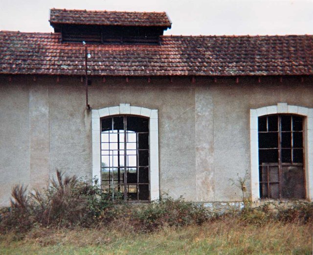 Toit remise.jpg