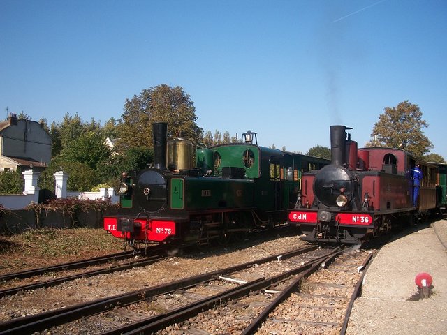 Festival2011 (51).JPG