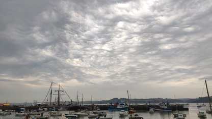 IMG-20210723-WA0048-ConvertImage.jpg