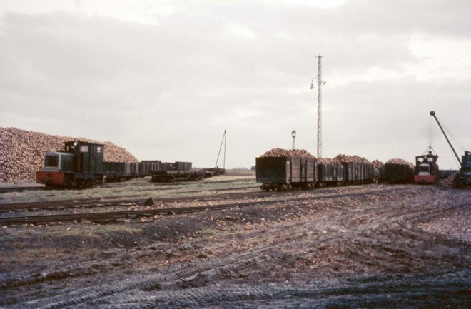 Mainvilliers VL83_dossier_chargement betteraves_photo 1.jpg