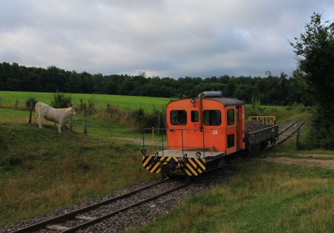 sIMG_8102R.jpg