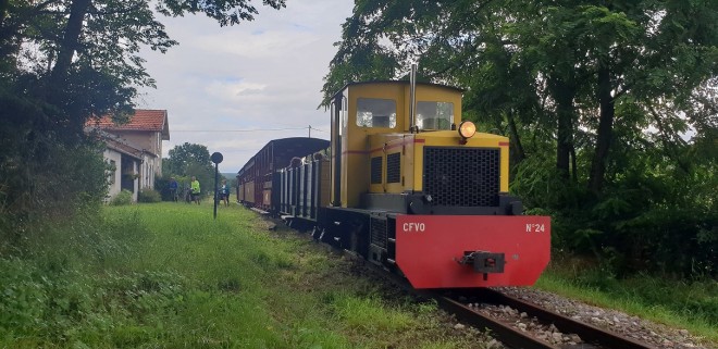 PoldiThorey7_8_21.jpg