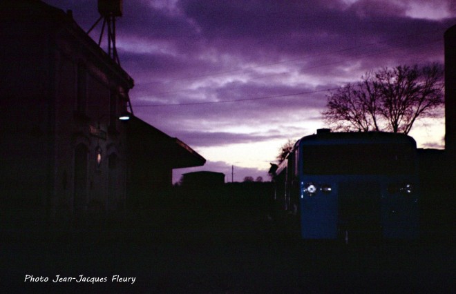 DSC08501.jpg