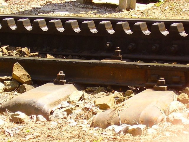 P7260008_2.jpg