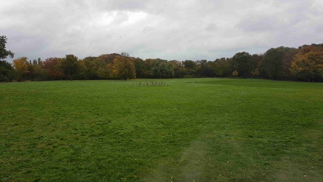 20211031_150559.jpg