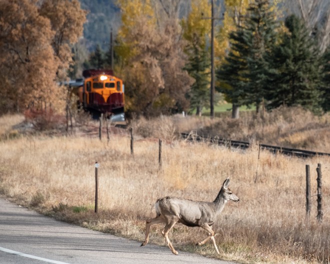 Durango 101 4.jpg