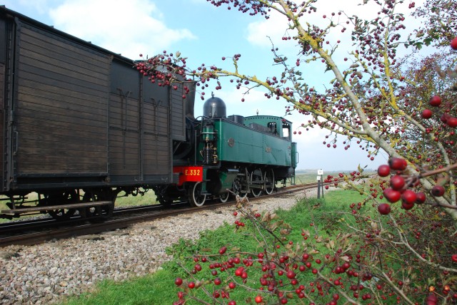 DSC_3502.jpg