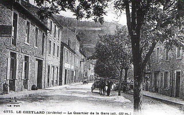 p5.jpg