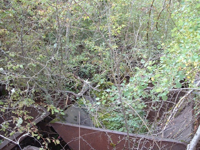 DSCF0139.JPG