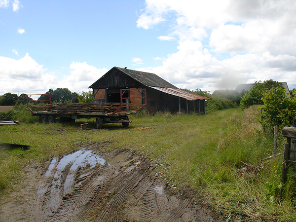 01 DSC01287.JPG