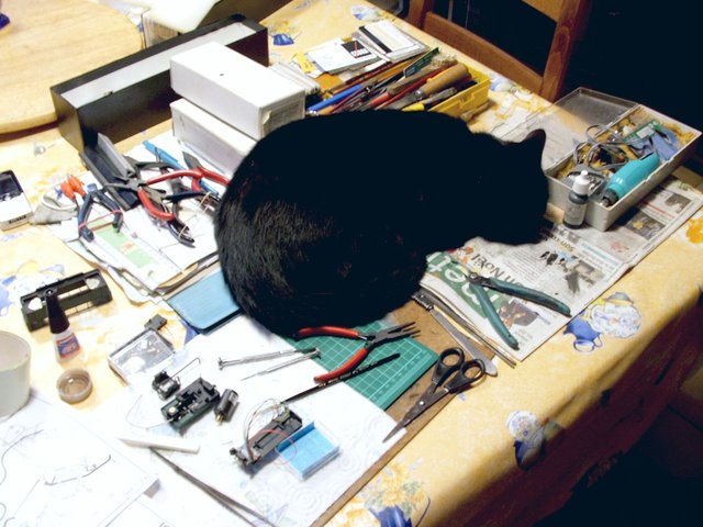 DSCF0744.JPG