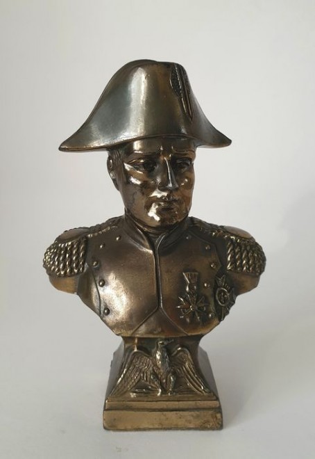 Bonaparte manchot.jpg