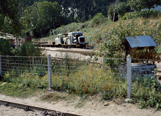 DSC08185.jpg