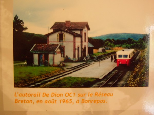 P8210344_2.jpg