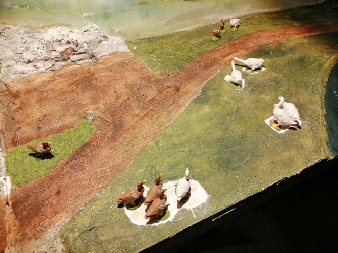 canards 1.jpg