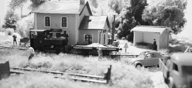 1646423086125_copy_800x369.jpg