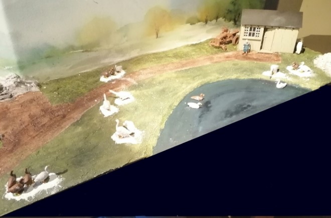 canards 0.jpg