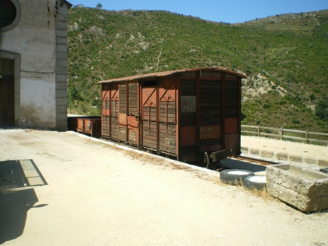 IMGP7123.JPG
