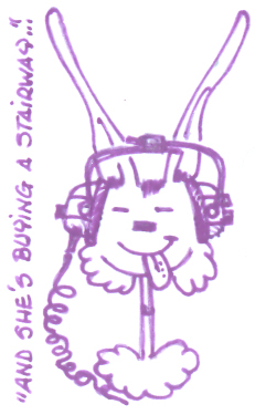Lapin casque.jpg