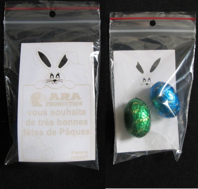 lapin_ara.jpg