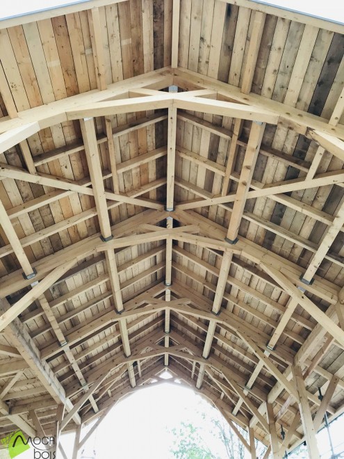 charpente-bois-massif-nature-maison-autoconstruction-poteaux-poutres--scaled.jpg