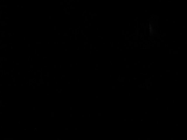 Photo 192.jpg