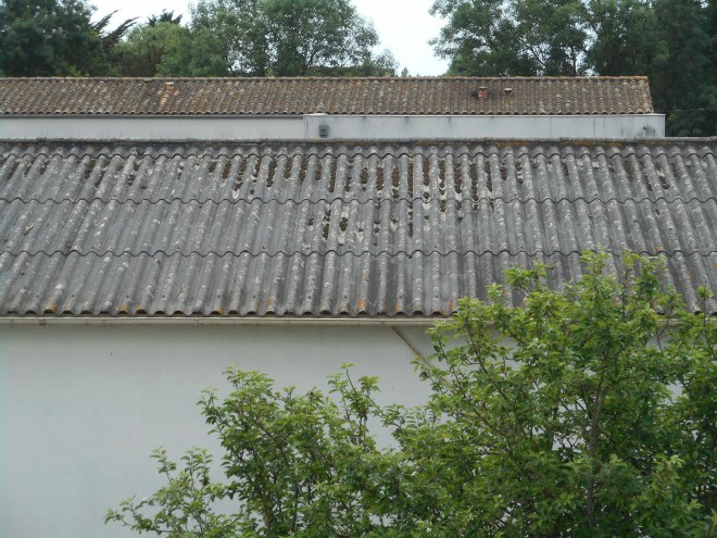 DSCN0328.JPG