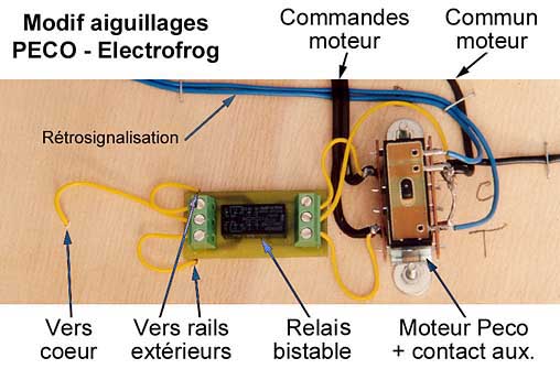 Peco02_fr.jpg