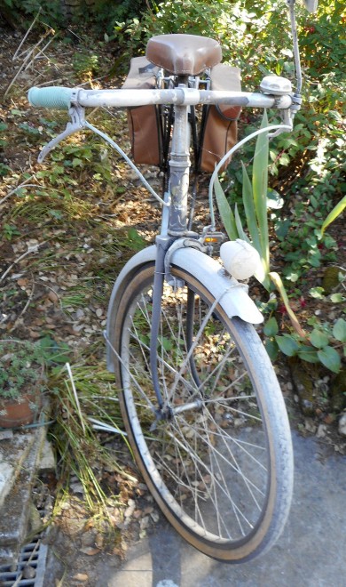 DSCN0523.JPG