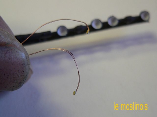 Copie de P1060347.JPG