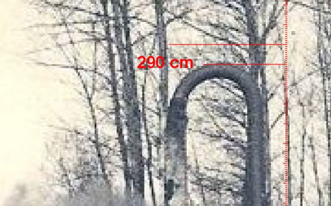 Image41.jpg