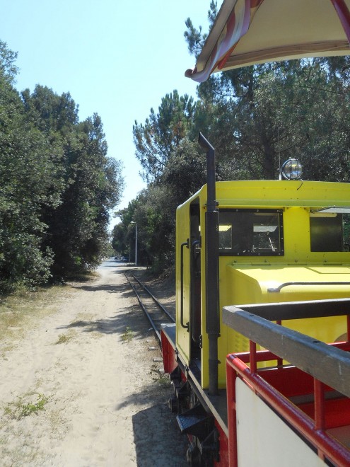 DSCN1254.JPG