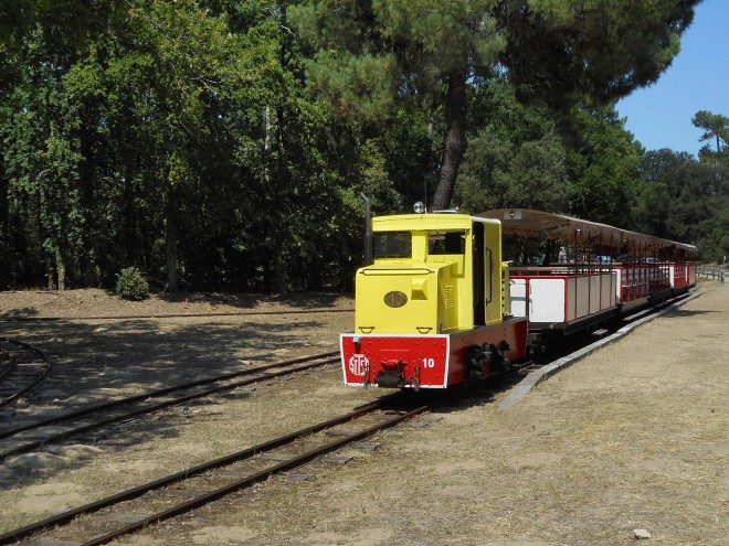 DSCN1268.JPG