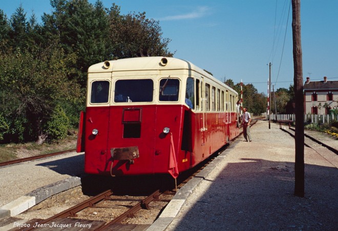DSC08618.jpg