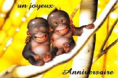 anniversaire2.jpg