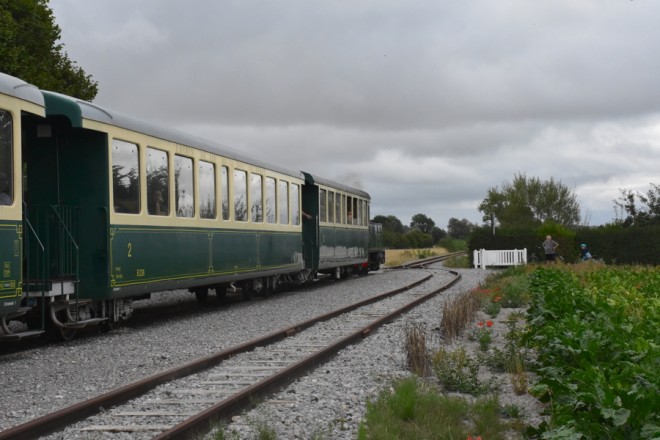 D72_4774.jpg