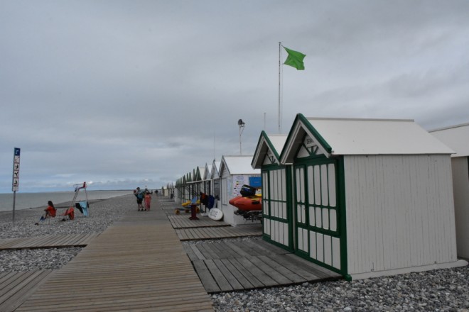 D72_4813.jpg