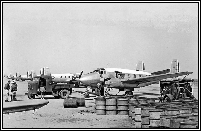 cm A armee MD 311 flamant Algérie.jpg