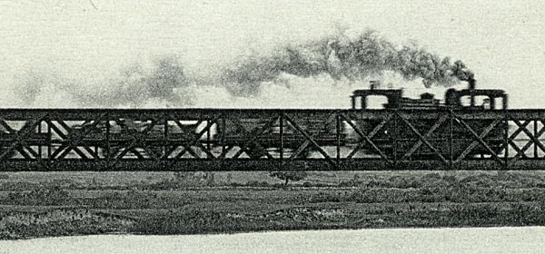 P3.jpg