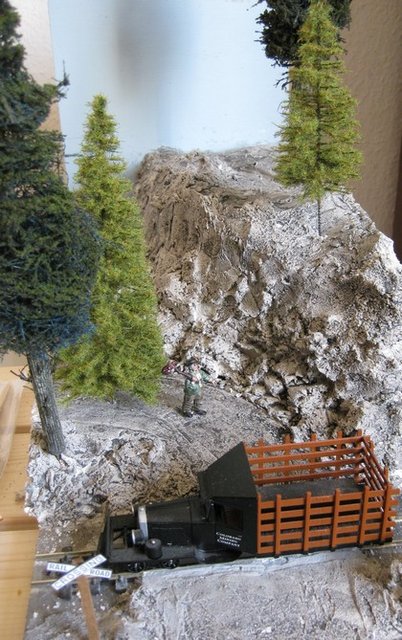 sapins.jpg