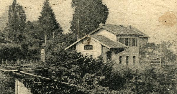 p1.jpg