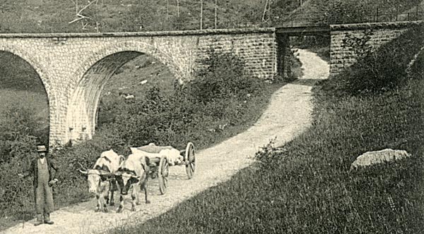 l1.jpg