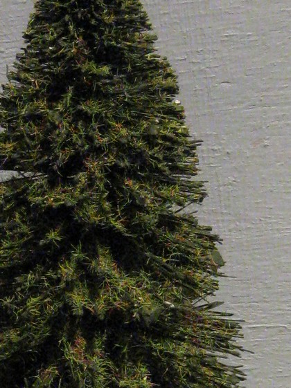 sapin détail.jpg