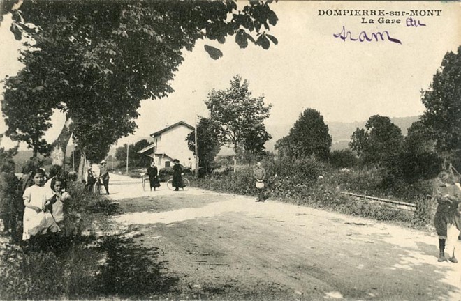 d6.jpg