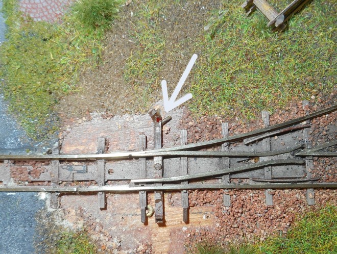 DSCN2555.JPG