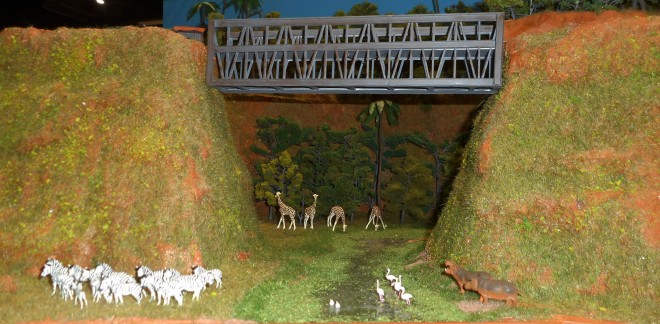 African railways - OOe (9).JPG